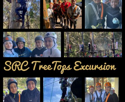 SRC TreeTops Excursion